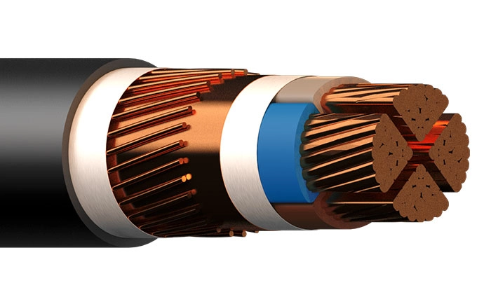 IFSI-EMC PURE 1KV 4X6/6 ER
