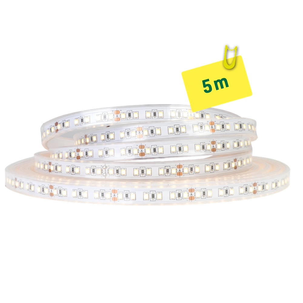 ETLED STRIP 10W IP65 3000K 12MM 24V DC 5M CRI 80 1260LM/M
