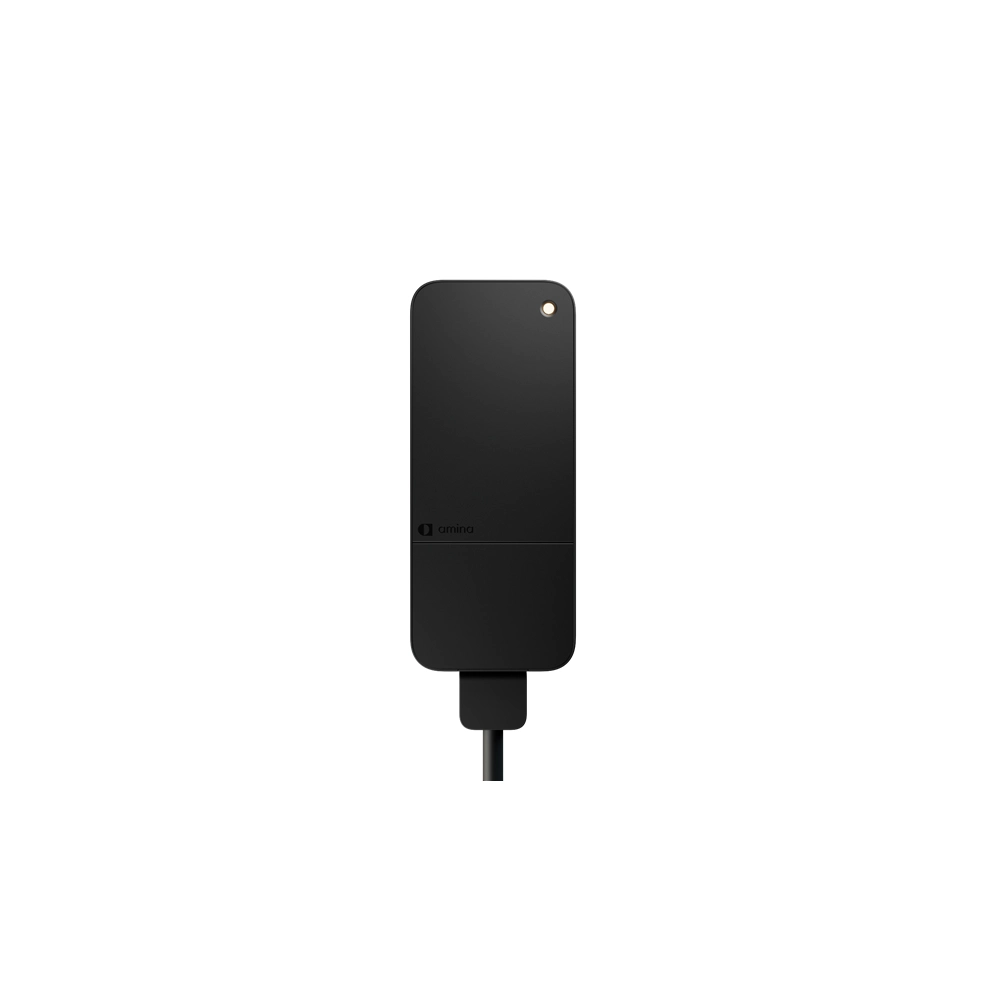 AMINA S - 22KW ZIGBEE/BLUETOOTH 32A 1/3F IP54